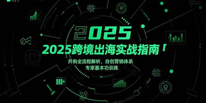 （15503期）2025跨境出海实战指南，并购全流程解析，自创营销体系，专家基本功训练-寒山客