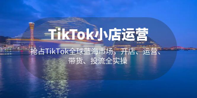 TikTok小店运营 抢占TikTok全球蓝海市场，开店、运营、带货、投流全实操-寒山客