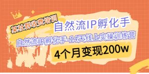 某社群收费培训:自然流IP 孵化手-14天线上实操训练营 4个月变现200w-寒山客
