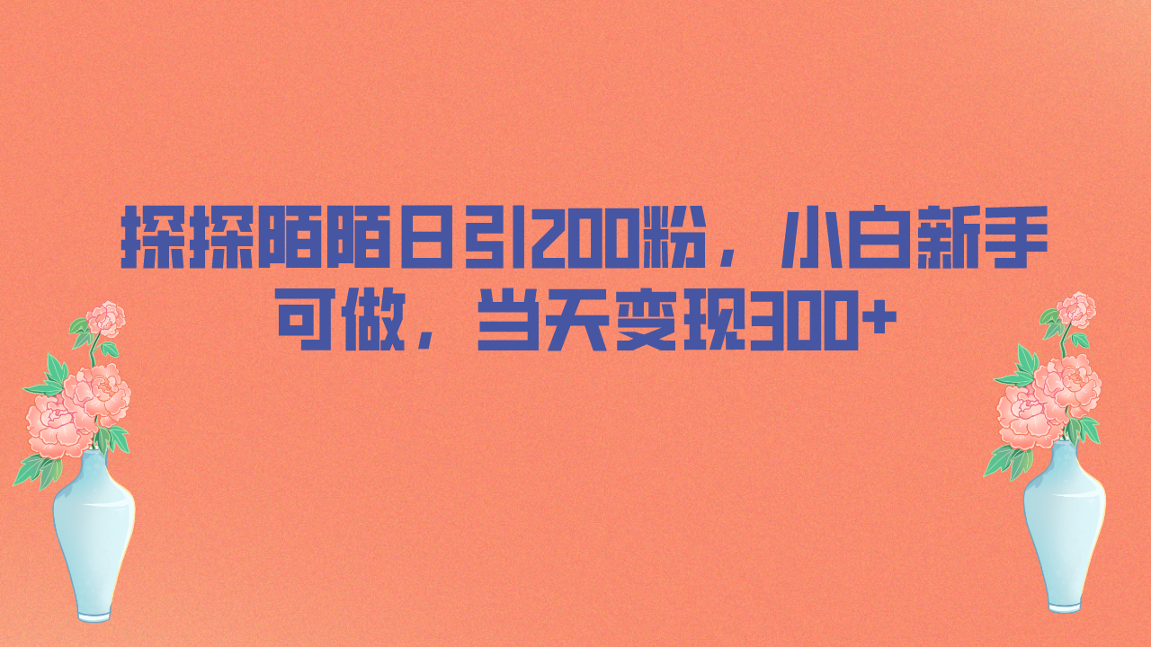 探探陌陌日引200粉，小白新手可做，当天就能变现300+-寒衣客