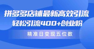 (10041期)拼多多店铺最新高效引流术,轻松引流400+创业粉,精准日变现五位数!-寒山客