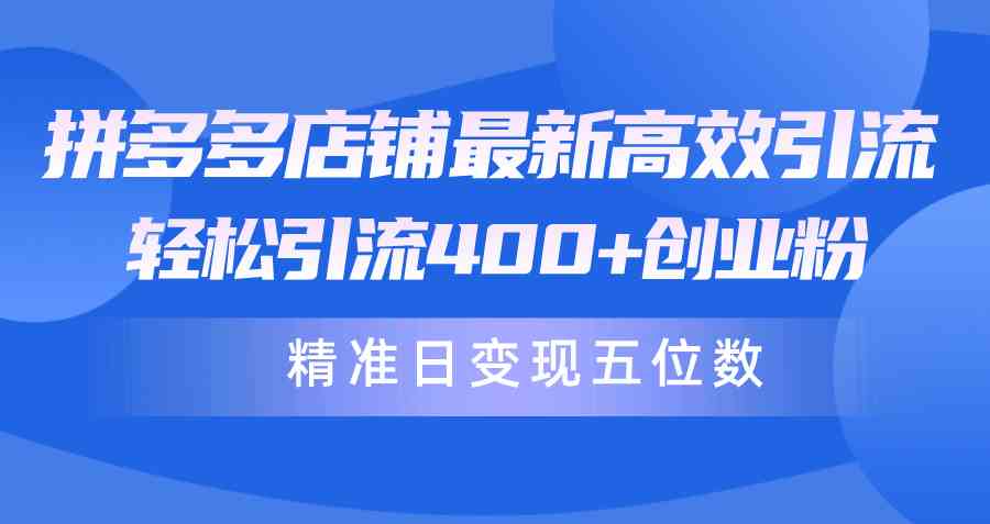 （10041期）拼多多店铺最新高效引流术，轻松引流400+创业粉，精准日变现五位数！-寒山客