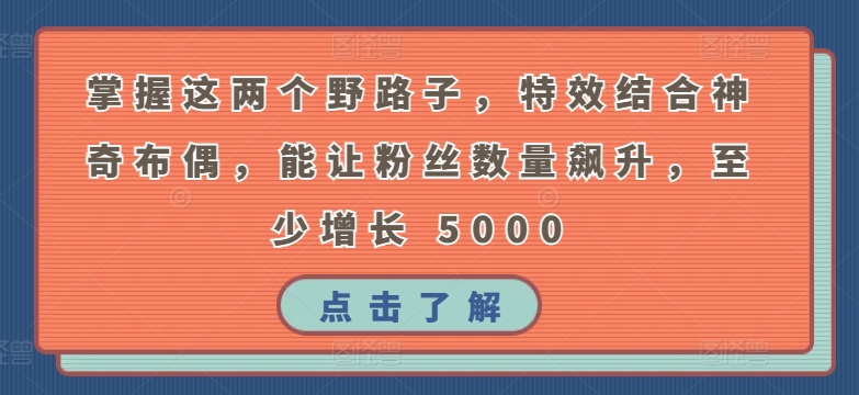 掌握这两个野路子，特效结合神奇布偶，能让粉丝数量飙升，至少增长 5000-寒山客