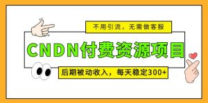 CNDN付费资源项目,不用引流,无需做客服,后期被动收入,每天稳定300+-寒山客