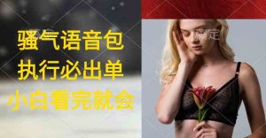 （9589期）执行就出单，日入2000+，超火骚气语音包，小白看完课程就能马上实操-寒山客