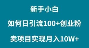 (9556期)新手小白如何通过卖项目实现月入10W+-寒山客