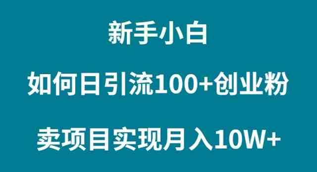 （9556期）新手小白如何通过卖项目实现月入10W+-寒山客