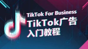 TikTok广告入门教程，从0到1掌握TikTok投放的全流程-寒山客