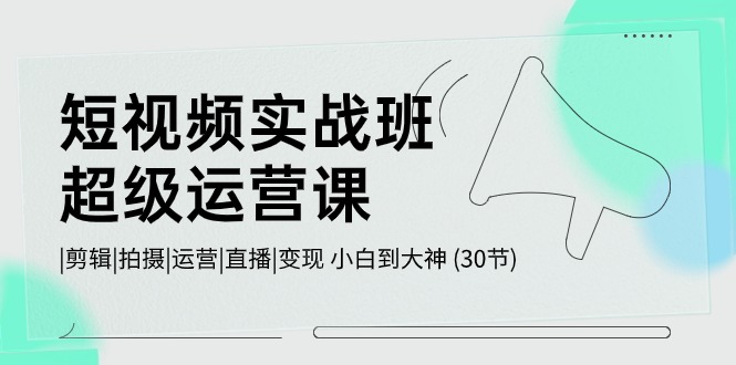 短视频实战班超级运营课 |剪辑|拍摄|运营|直播|变现 小白到大神 (30节)-寒山客