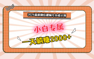 2024最新微信视频号分成计划,对新人友好,一天躺赚2000+-寒山客