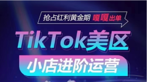 TikTok Shop美区小店进阶运营,快速掌握各流量渠道玩法,抢占红利黄金期,嘎嘎出单-寒山客