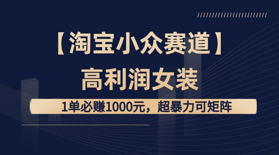 【淘宝小众赛道】高利润女装：1单必赚1000元，超暴力可矩阵-寒山客