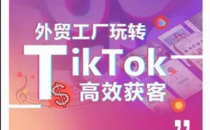 外贸工厂玩转TikTok高效获客，多种引流方式与账号定位技巧，拆解爆款短视频打造成功案例-寒山客