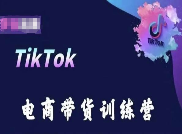 TikTok电商带货训练营，跟随时代潮流，跨境掘金-寒山客