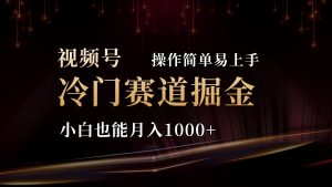 2024视频号冷门赛道掘金,操作简单轻松上手,小白也能月入1000+-寒山客
