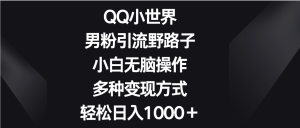 QQ小世界男粉引流野路子,小白无脑操作,多种变现方式轻松日入1000+-寒山客