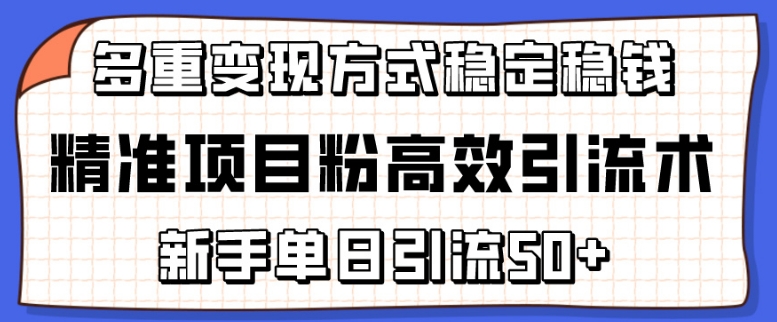 精准项目粉高效引流术，新手单日引流50+，多重变现方式稳定赚钱-寒山客