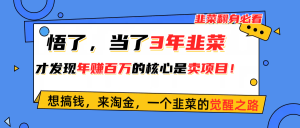 (10759期)悟了,当了3年韭菜,才发现网赚圈年赚100万的核心是卖项目,含泪分享!-寒山客