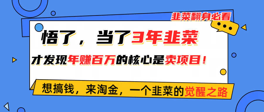 （10759期）悟了，当了3年韭菜，才发现网赚圈年赚100万的核心是卖项目，含泪分享！-寒山客