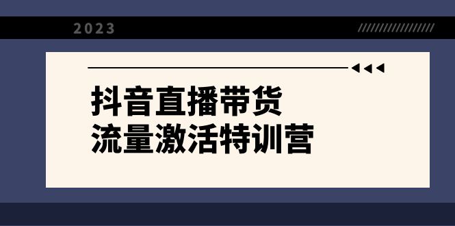 抖音直播带货-流量激活特训营，入行新手小白主播必学（21节课+资料）-寒山客