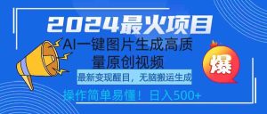 (9570期)2024最火项目,AI一键图片生成高质量原创视频,无脑搬运,简单操作日入500+-寒山客