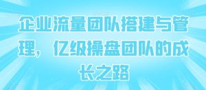 企业流量团队搭建与管理,亿级操盘团队的成长之路-寒山客