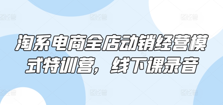 淘系电商全店动销经营模式特训营，线下课录音-寒山客