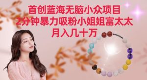 首创蓝海无脑小众项目，2分钟暴力吸粉小姐姐富太太，月入几十万-寒山客