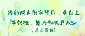 冷门成人识字项目,小白上手轻松,暴力创收月入5w+-寒山客