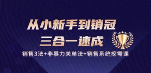 从小新手到销冠 三合一速成:销售3法+非暴力关单法+销售系统挖需课 (27节)-寒山客