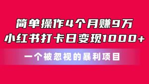 简单操作4个月赚9万！小红书打卡日变现1000+！一个被忽视的暴力项目-寒山客