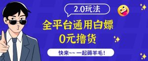 外面收费2980的全平台通用白嫖撸货项目2.0玩法【仅揭秘】-寒山客