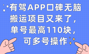 有驾APP口碑无脑搬运项目又来了,单号最高110块,可多号操作-寒山客
