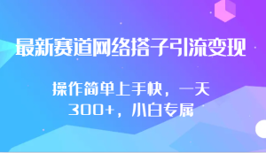 最新赛道网络搭子引流变现!!操作简单上手快,一天300+,小白专属-寒山客