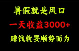 一天收益3000+ 赚钱就是顺势而为,暑假就是风口-寒山客