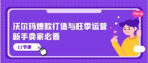 沃尔玛爆款打造与旺季运营,新手卖家必看(11节视频课)-寒山客
