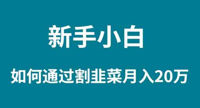 （9308期）新手小白如何通过割韭菜月入 20W-寒山客