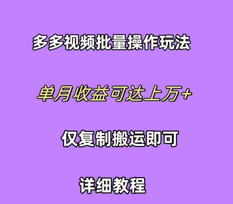 （10029期）拼多多视频带货快速过爆款选品教程 每天轻轻松松赚取三位数佣金 小白必…-寒山客