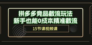 (10301期)拼多多竞品截流玩法,新手也能0成本精准截流(15节课)-寒山客