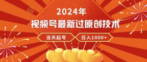 （9565期）2024年视频号最新过原创技术，当天起号，收入稳定，日入1000+-寒山客