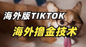 抖音海外版tiktok撸金技术,这个风口行业,赚钱真的不难-寒山客