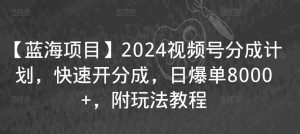 【蓝海项目】2024视频号分成计划,快速开分成,日爆单8000+,附玩法教程-寒山客