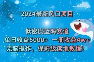 2024最新风口项目 低密度蓝海赛道,日收益5000+周收益4w+ 无脑操作-寒山客