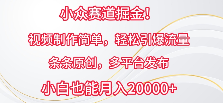 小众赛道掘金，视频制作简单，轻松引爆流量，条条原创，多平台发布-寒山客