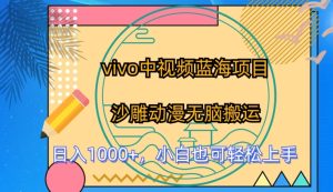 vivo中视频蓝海项目,沙雕动漫无脑搬运,小白也可轻松上手-寒山客