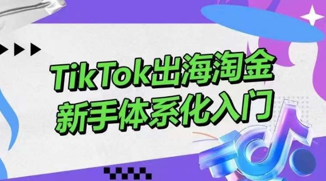 TikTok出海淘金，新手体系化入门，零基础快速入门，掌握短视频、直播带货等引流到变现的知识-寒衣客