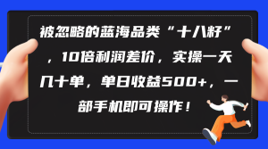 (10696期)被忽略的蓝海品类“十八籽”,10倍利润差价,实操一天几十单 单日收益500+-寒山客