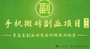 手机搬砖小副业项目训练营1.0,实测1小时收益50+,一部手机轻松日入100+-寒山客