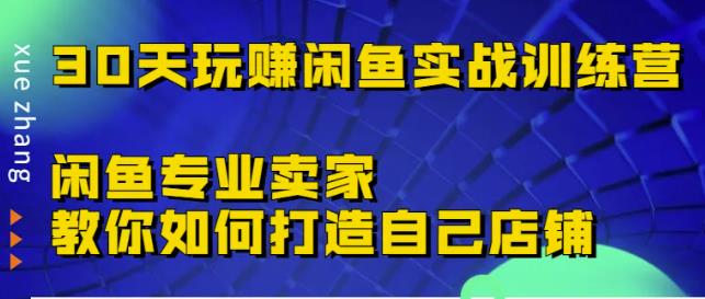 30天玩赚闲鱼实战训练营，闲鱼专业卖家教你如何打造自己店铺￼-寒衣客