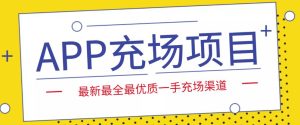 外面收费9800的APP充场项目,实操一天收入800+个人和工作室都可以做-寒山客